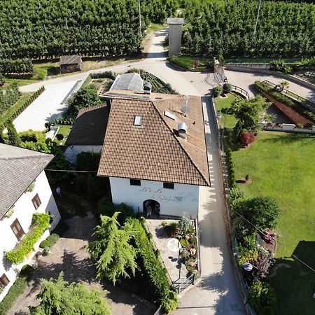 Bed and Breakfast Al Trifoglio Campodenno Экстерьер фото